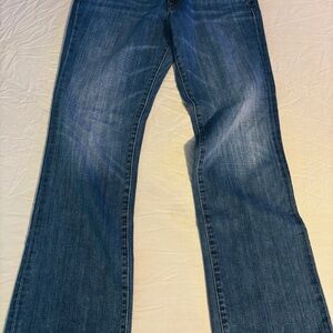 Lucky Brand Blue Flare Jeans